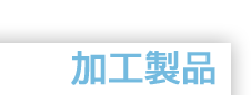 �T���e�N�m�v��̉��H���i