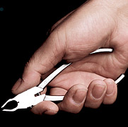 骨抜き名人の写真