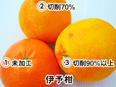 伊予柑 未加工・切削70%・切削90%以上